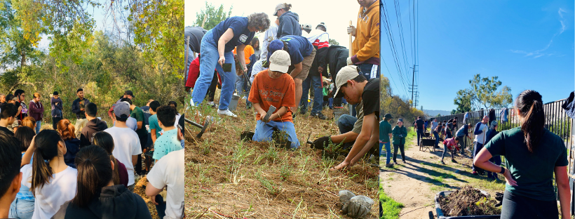 Marsh Short Term Volunteer