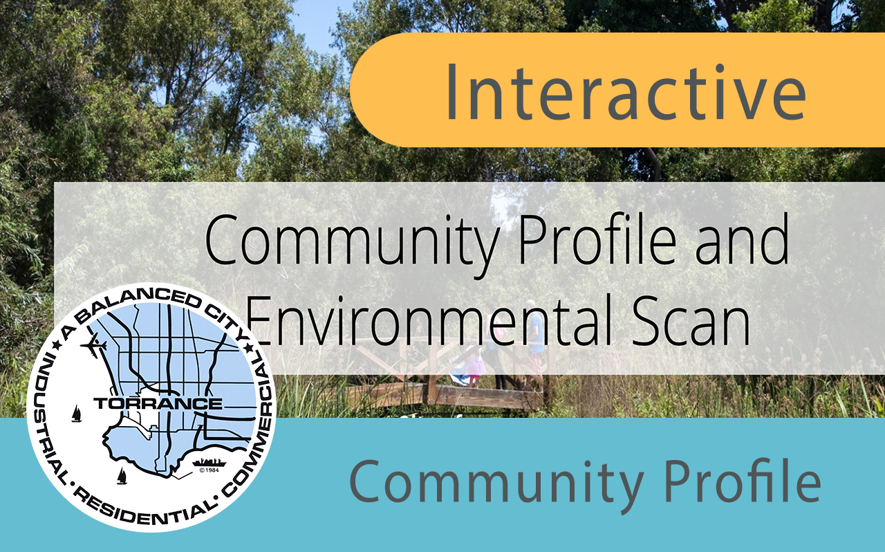 Community Profile and Environmental Scan