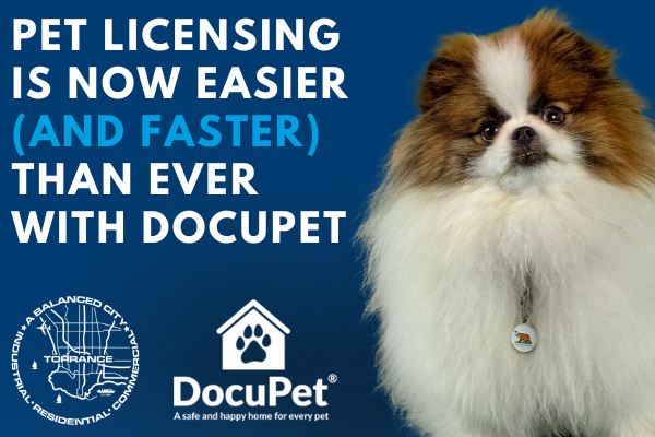 Pet Licensing is now easier