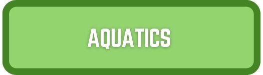 Aquatics