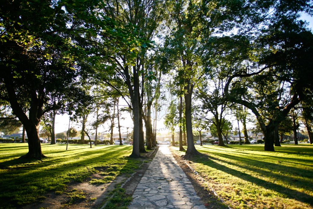 Torrance Park path in the middle of trees and grass