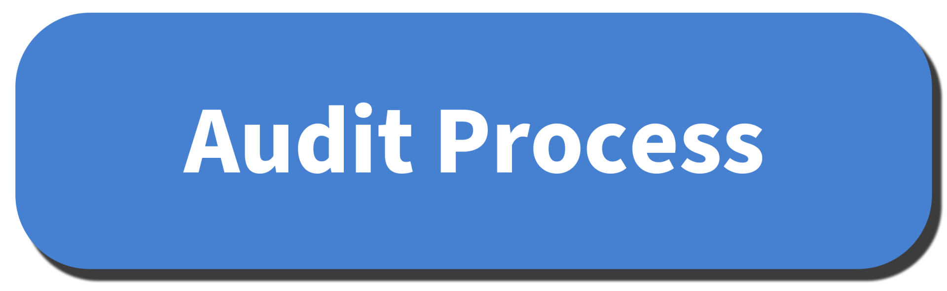 Button that says Audit Process