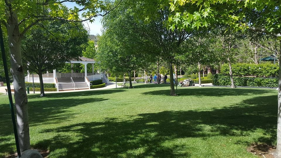 Gazebo in Gibbons Garden