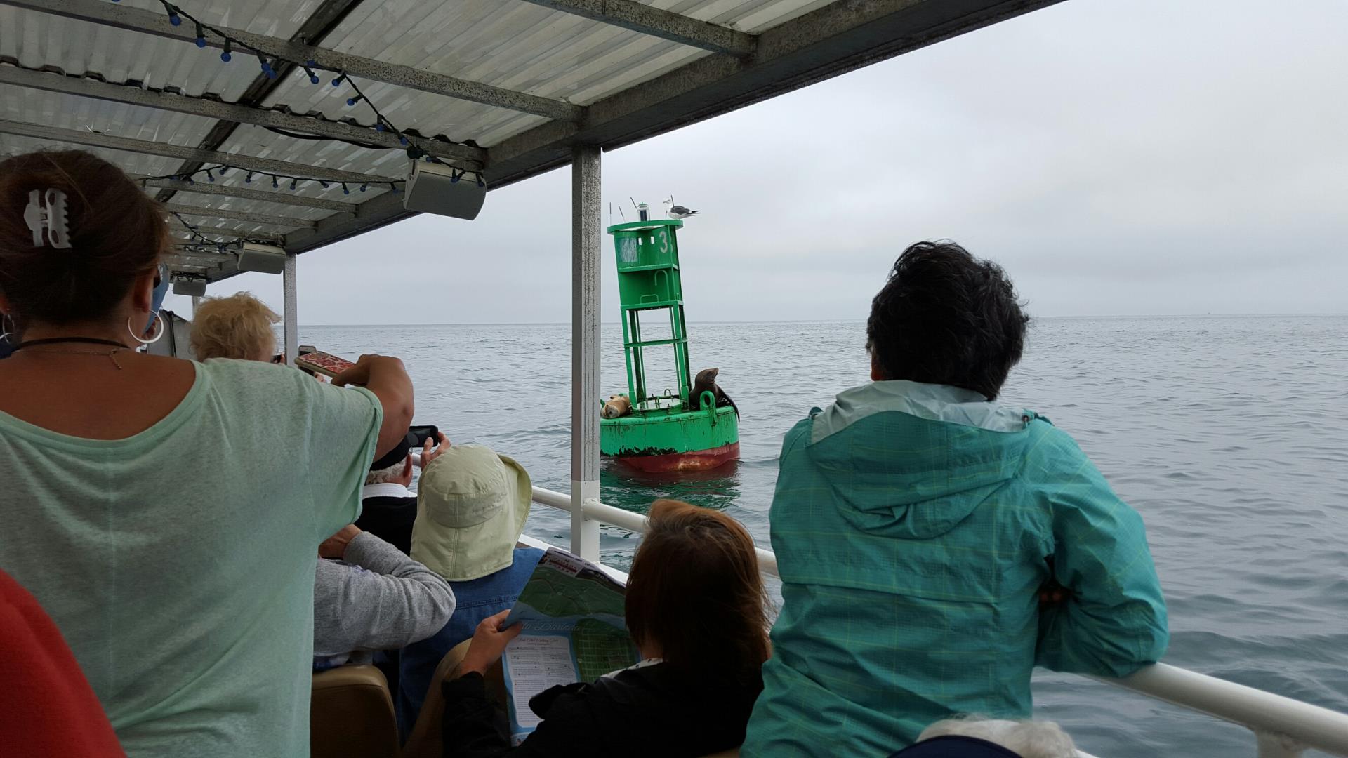 people on a boat watching Seals on Buoy