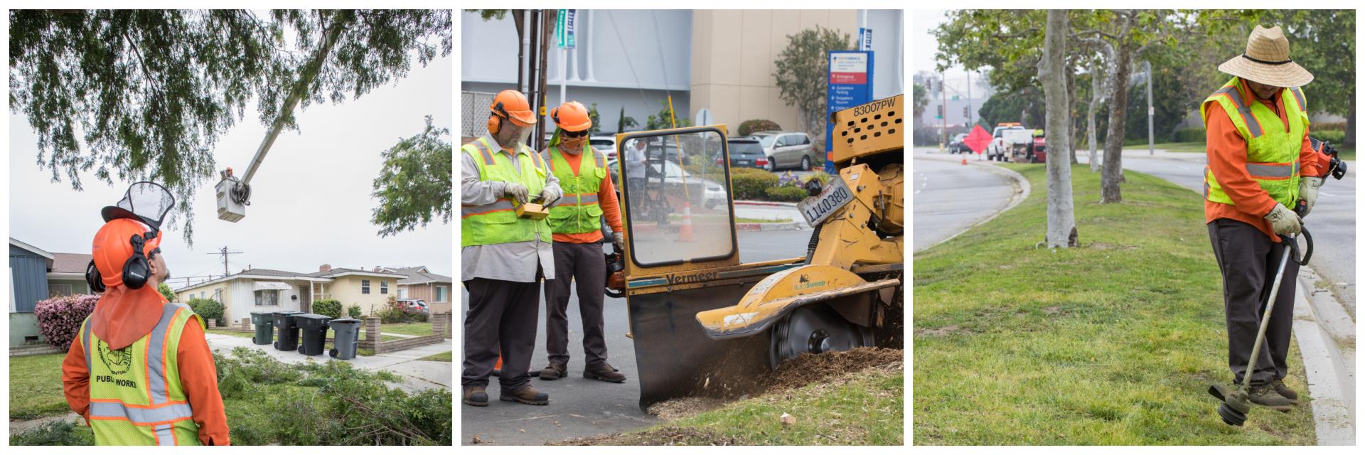 public works collage